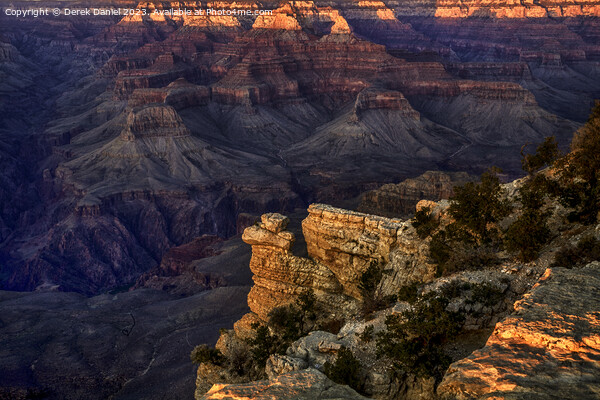 Grand Canyon National Park  Picture Board by Derek Daniel