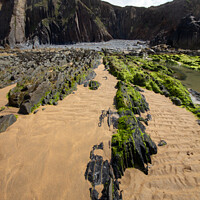 Buy canvas prints of Majestic Sandymouth Beach by Derek Daniel
