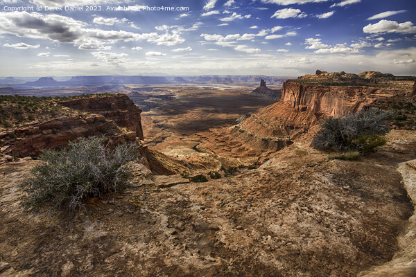 A view of Canyonlands National Park Picture Board by Derek Daniel