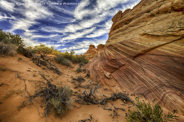 South Coyote Buttes, Arizona Picture Board by Derek Daniel