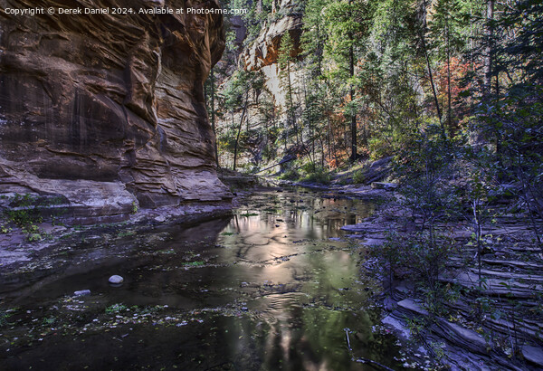Oak Creek Canyon Picture Board by Derek Daniel