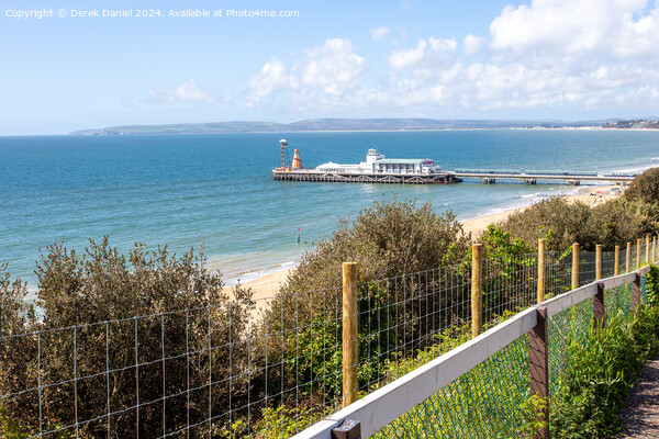 Golden Gateway to Seaside Delight Picture Board by Derek Daniel