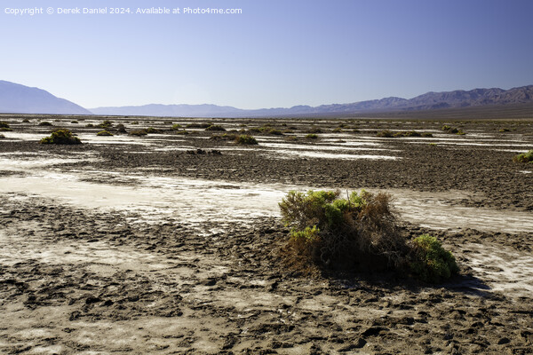 The barren landscape of Death Valley Picture Board by Derek Daniel