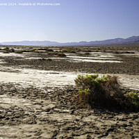 Buy canvas prints of The barren landscape of Death Valley by Derek Daniel