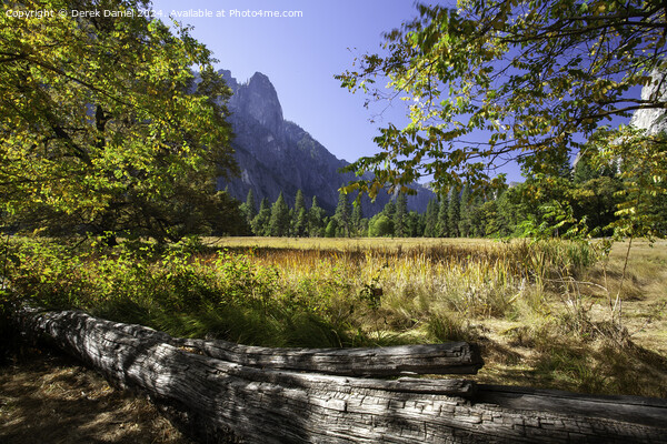 Yosemite National Park Picture Board by Derek Daniel