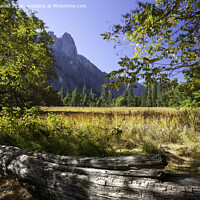 Buy canvas prints of Yosemite National Park by Derek Daniel