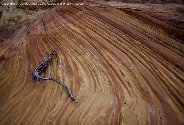 The Wonderful Colours At South Coyote Buttes Picture Board by Derek Daniel