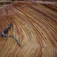 Buy canvas prints of The Wonderful Colours At South Coyote Buttes by Derek Daniel