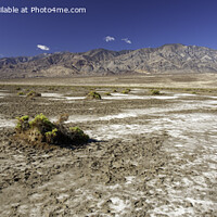 Buy canvas prints of The barren landscape of Death Valley by Derek Daniel