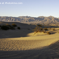 Buy canvas prints of Mesquite Flat Dunes, Stovepipe Wells, Death Valley by Derek Daniel