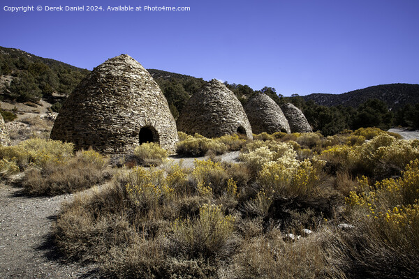 Wildrose Charcoal Kilns, Death Valley Picture Board by Derek Daniel