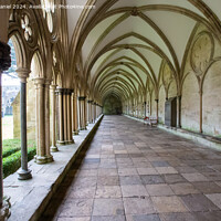 Buy canvas prints of Magnificent Gothic Cloisters by Derek Daniel