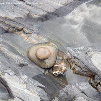 Buy canvas prints of Textured Rock at Sandymouth  by Derek Daniel