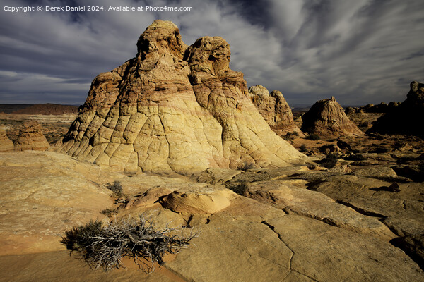 South Coyote Buttes landscape, Arizona Picture Board by Derek Daniel