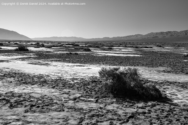 The barren landscape of Death Valley (mono) Picture Board by Derek Daniel