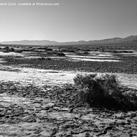 Buy canvas prints of The barren landscape of Death Valley (mono) by Derek Daniel