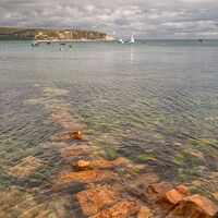 Buy canvas prints of Majestic View of the Jurassic Coast by Derek Daniel