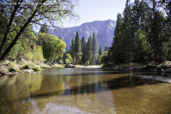  Yosemite National Park Picture Board by Derek Daniel