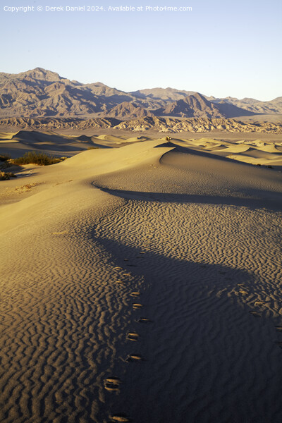 Mesquite Sand Dunes, Stovepipe Wells, Death Valley Picture Board by Derek Daniel