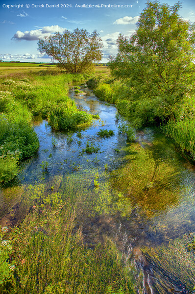 A stream in Dorset Picture Board by Derek Daniel