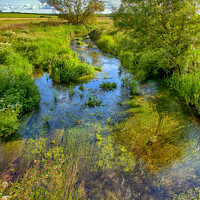 Buy canvas prints of A stream in Dorset by Derek Daniel