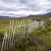 Buy canvas prints of Snow Fence, Scottish Highlands by Derek Daniel