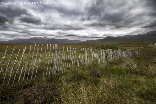 Snow Fence, Scottish Highlands Picture Board by Derek Daniel