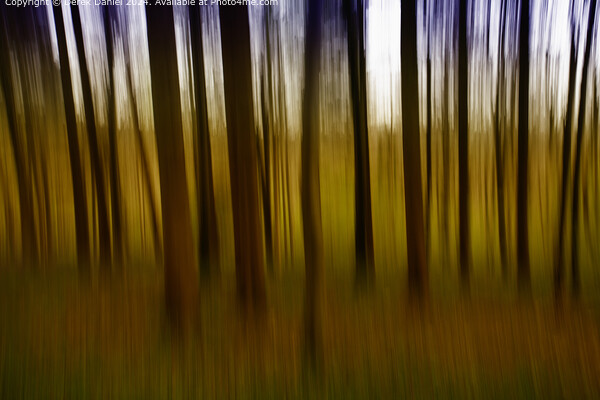 Blurred Trees Abstract Nature Picture Board by Derek Daniel