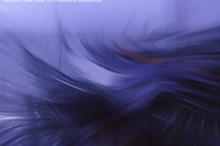 Click to show how this picture will look as a piece of wall art