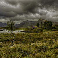 Buy canvas prints of Majestic Highland Landscape by Derek Daniel