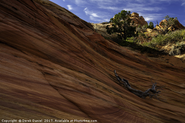 South Coyote Buttes Picture Board by Derek Daniel