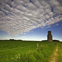 Buy canvas prints of Horton Tower, Horton, North Dorset by Derek Daniel