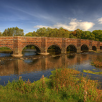 Buy canvas prints of Timeless Beauty by Derek Daniel