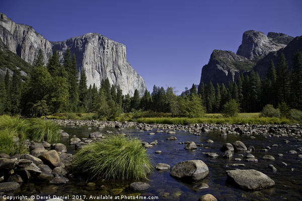 El Capitan and Cathedral Rocks, Yosemite Picture Board by Derek Daniel