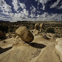 Buy canvas prints of Navajo Sandstone Wonderland by Derek Daniel