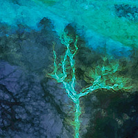 Buy canvas prints of Captivating Winter Tree Impression by Derek Daniel