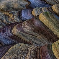 Buy canvas prints of Vibrant and Textured Beachscape by Derek Daniel