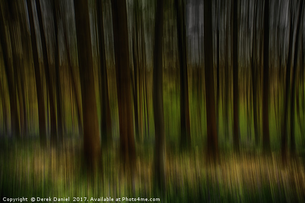 Abstract Blurred Trees Picture Board by Derek Daniel