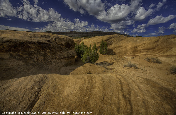 Devils Garden, Escalante, Utah Picture Board by Derek Daniel