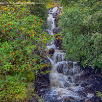 Buy canvas prints of Waterfall Nr Garve, Scotland by Derek Daniel