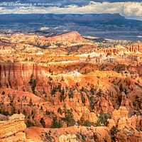 Buy canvas prints of Bryce Canyon National Park, Utah by Derek Daniel