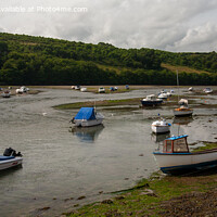 Buy canvas prints of Boats on the East Looe River by Derek Daniel