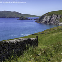 Buy canvas prints of Dunmore Head, Dingle Peninsula, Ireland by Derek Daniel