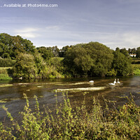 Buy canvas prints of River Stour by Derek Daniel