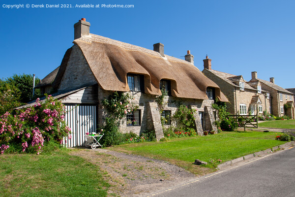 Dorset Thatch cottage Picture Board by Derek Daniel