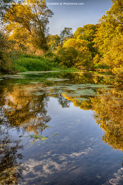 River Stour in Autumn Picture Board by Derek Daniel