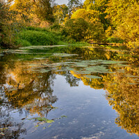 Buy canvas prints of River Stour in Autumn by Derek Daniel