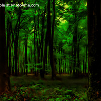 Buy canvas prints of Dare you enter the Dark Green Forest (Digital Art) by Derek Daniel