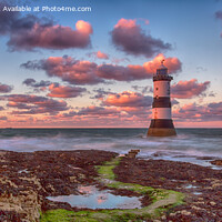 Buy canvas prints of Radiant Welsh Sunset at Trwyn Du Lighthouse by Derek Daniel
