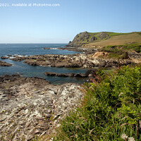 Buy canvas prints of Devon Coastline (panoramic) by Derek Daniel